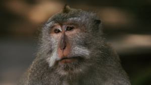 Money Report Mai 2022