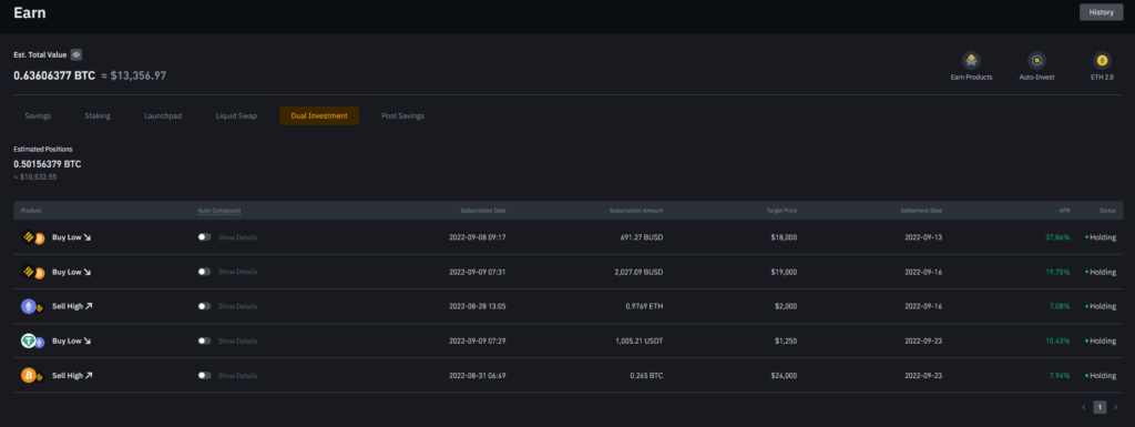 Binance Dual Investment in der Praxis