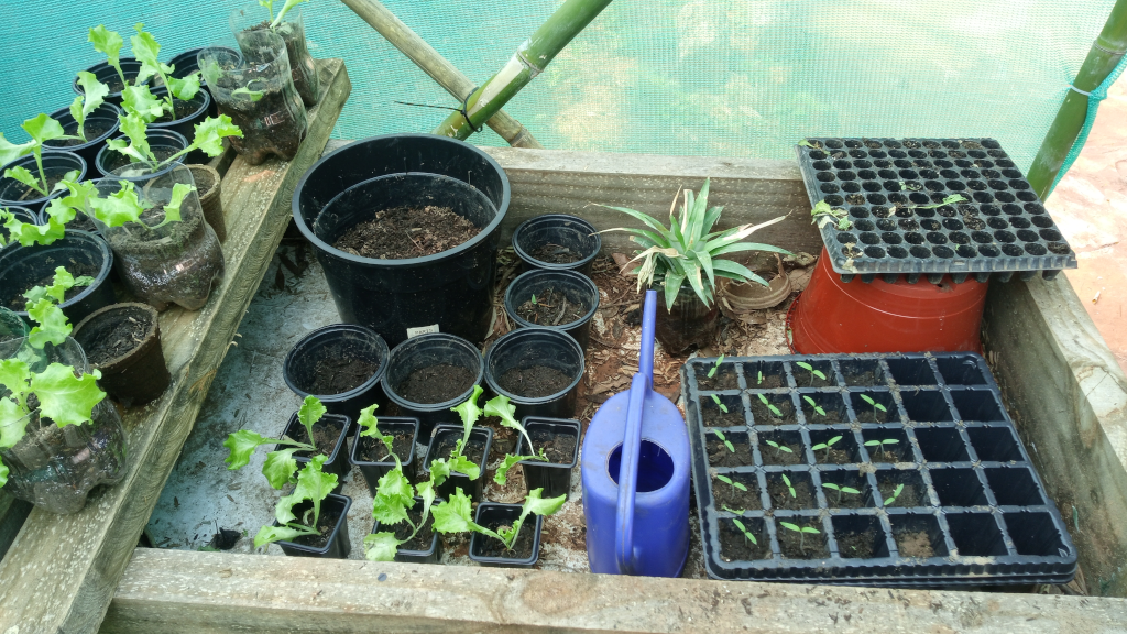 Selbstversorger in Paraguay